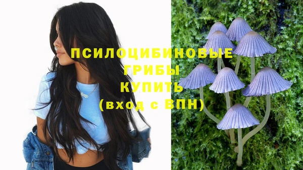 молекула духа Абаза