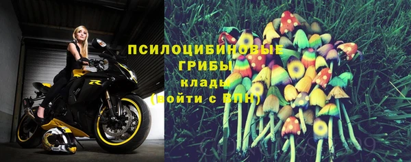 амф Абинск