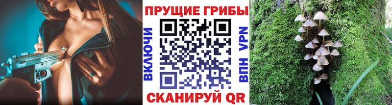 Псилоцибиновые грибы GOLDEN TEACHER  Тырныауз 
