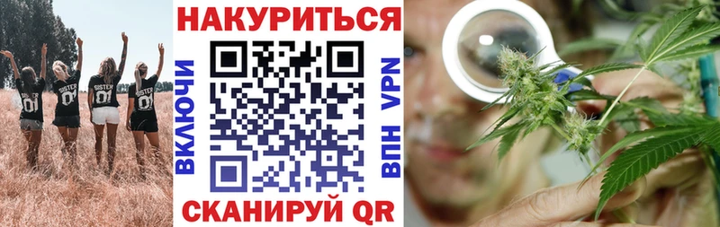 где купить наркоту Тырныауз Каннабис планчик